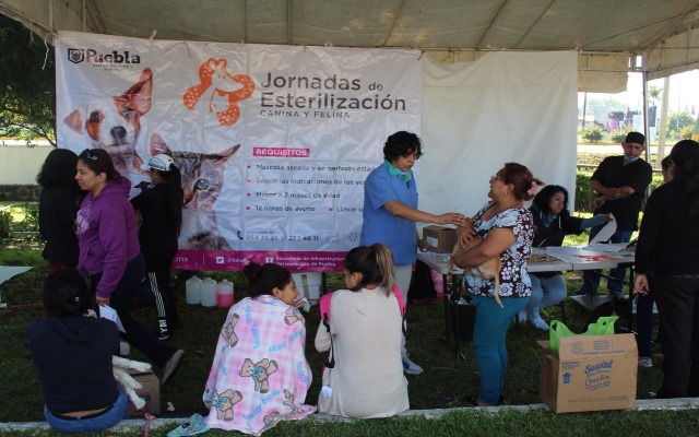 Mantienen trabajos de recuperación en espacios públicos