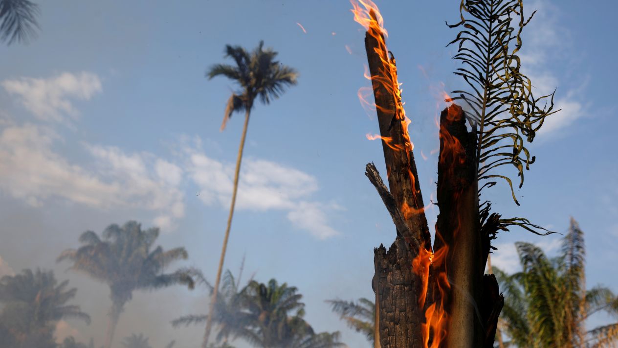 Esto es lo que sabemos del fuego que consume la selva del Amazonas