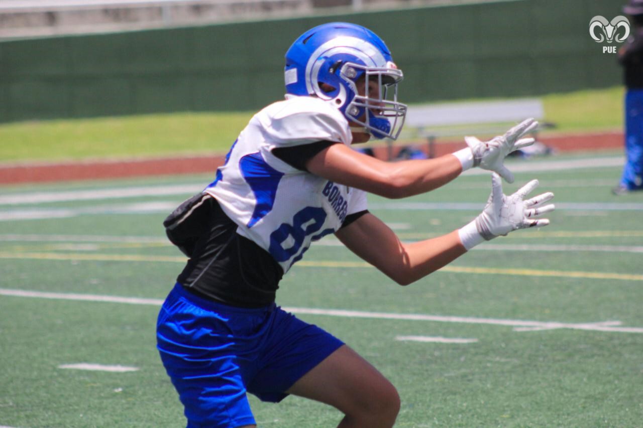 Borregos Puebla cerrará pretemporada ante Linces UVM