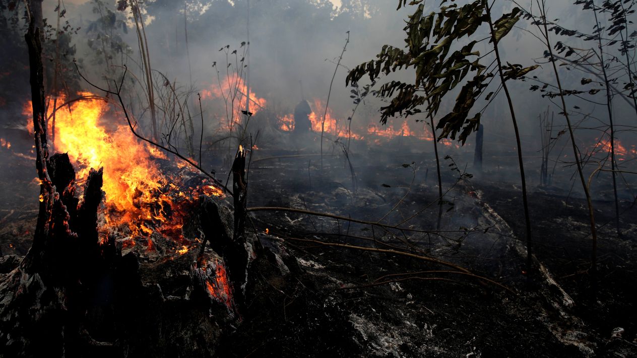 Bomberos brasileños luchan contra incendios en un Amazonas cubierto de humo