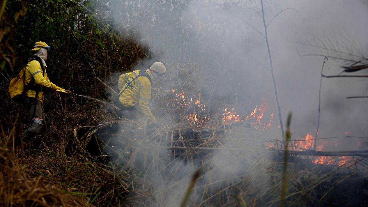 Bomberos brasileños luchan contra incendios en un Amazonas cubierto de humo