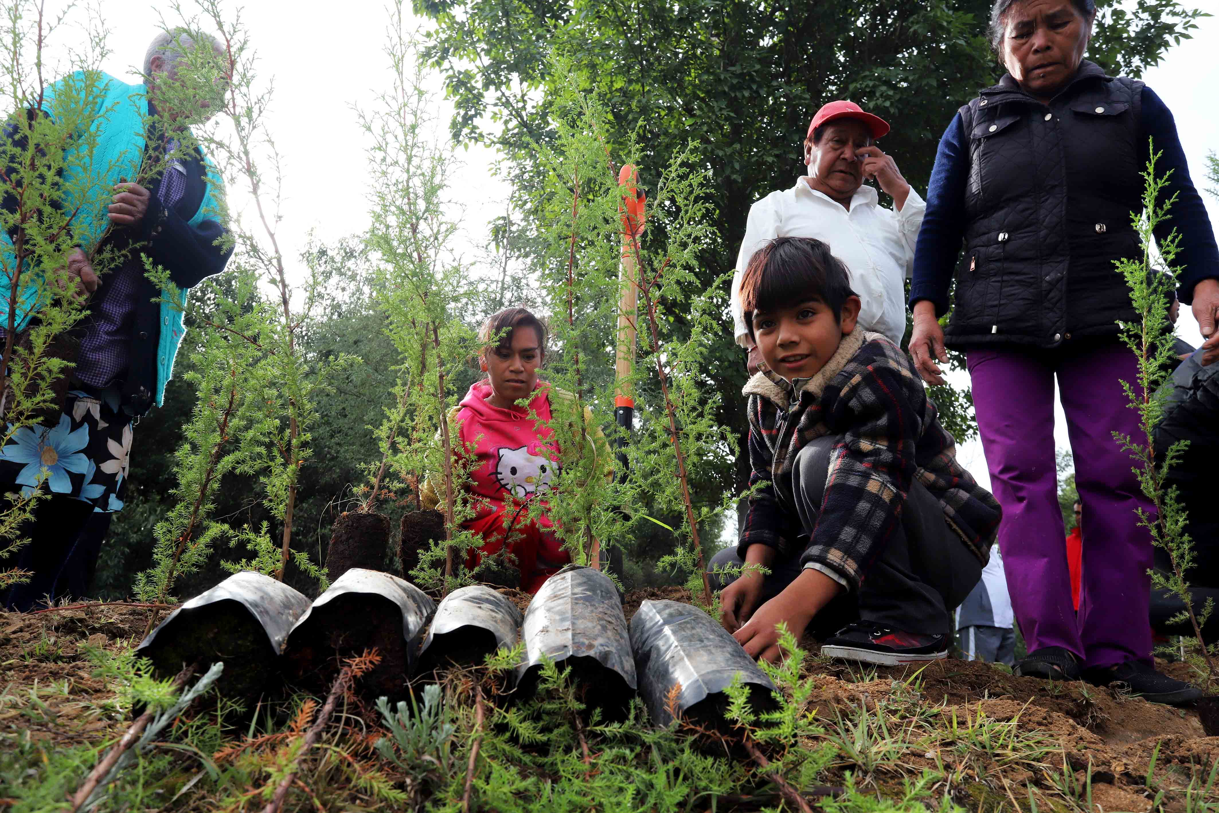 Foto: Cortesía  CONCLUYE CGE REFORESTACIÓN EN LA MALINCHE CON 250 MIL ÁRBOLES