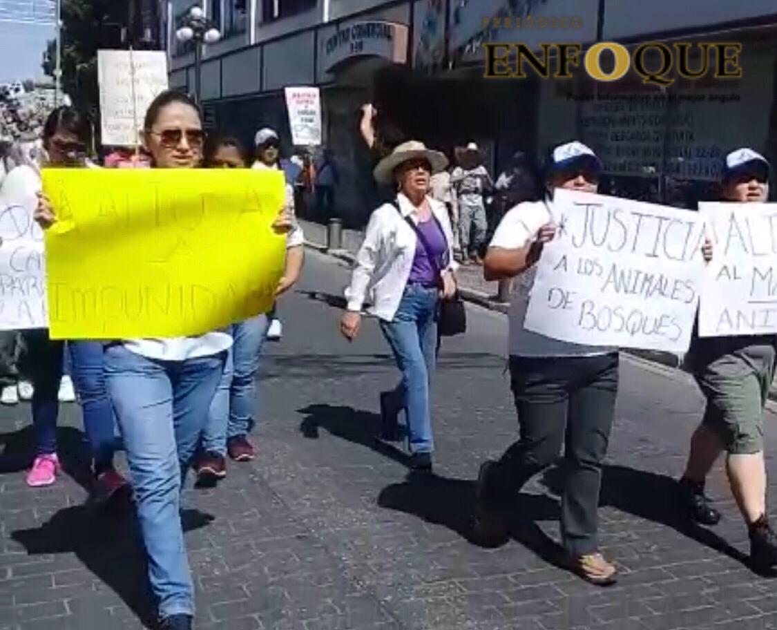 Marchan para exigir cárcel para “La Mata Perros”