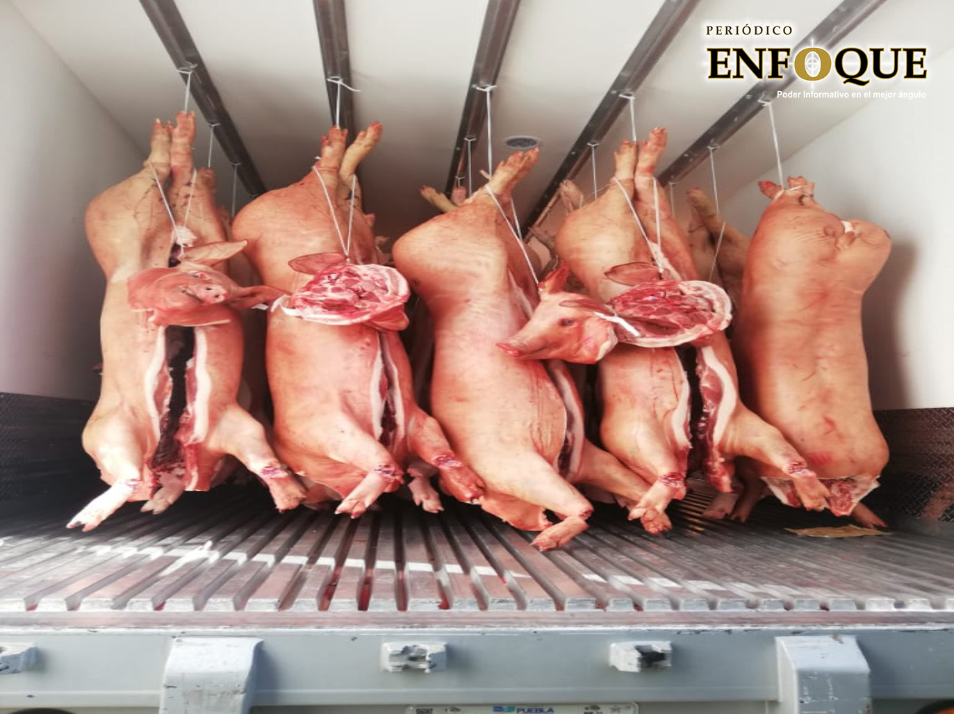 Foto: Cortesía  Recuperan camión cargado con cerdos en Tepeaca