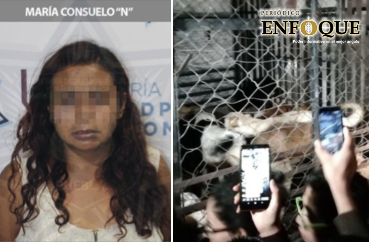 Sin reclamar 45 animales domésticos que tenía “La mata perros”