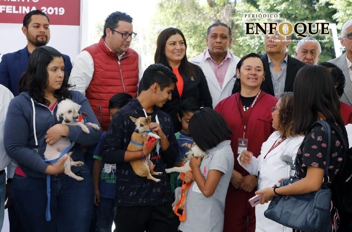 Foto: Cortesía (Redes) Aplicarán 45 mil dosis en la semana de vacunación Antirrábica Canina y Felina