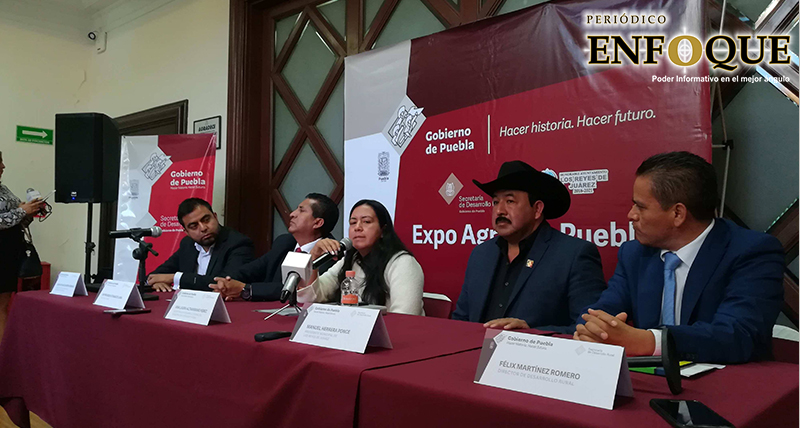 Registra Puebla alrededor de 25 mil hectáreas siniestradas en 2019, revela Secretaría de Desarrollo Rural 