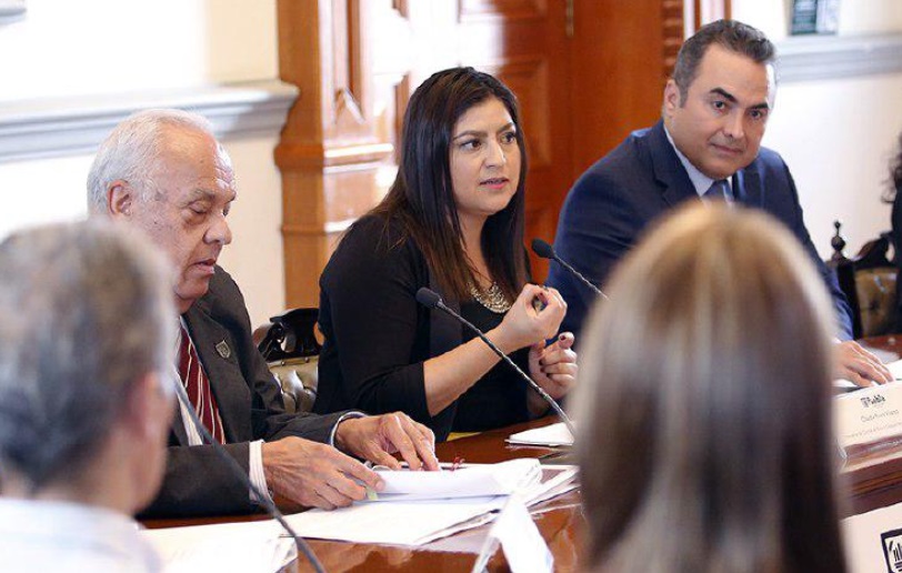 Foto: Especial Lamenta Rivera Vivanco oposición de morenistas para legalizar aborto y matrimonio igualitario