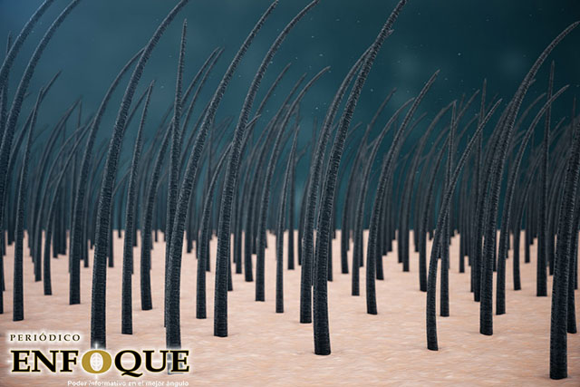 Cánceres de piel podrían comenzar en los folículos capilares