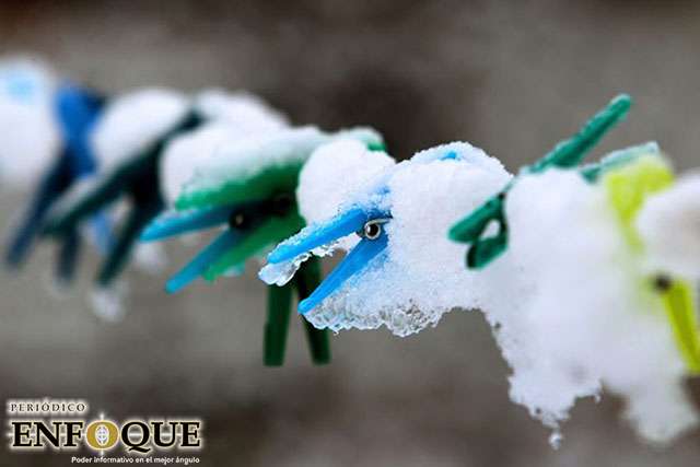 Foto: Cortesía  ¿Se seca la ropa si hiela?
