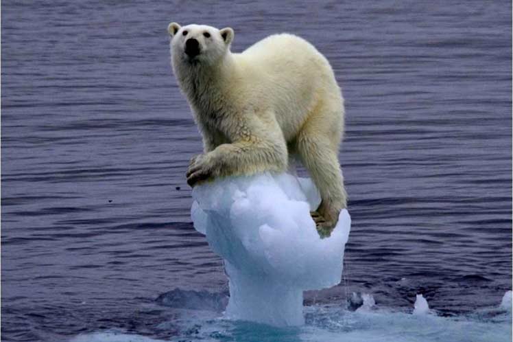 2019 cierra la peor década de la crisis climática