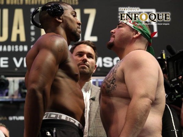 Foto: Cortesía  Andy Ruiz pesará 21 kilos más que Anthony Joshua para su pelea en Arabia Saudita