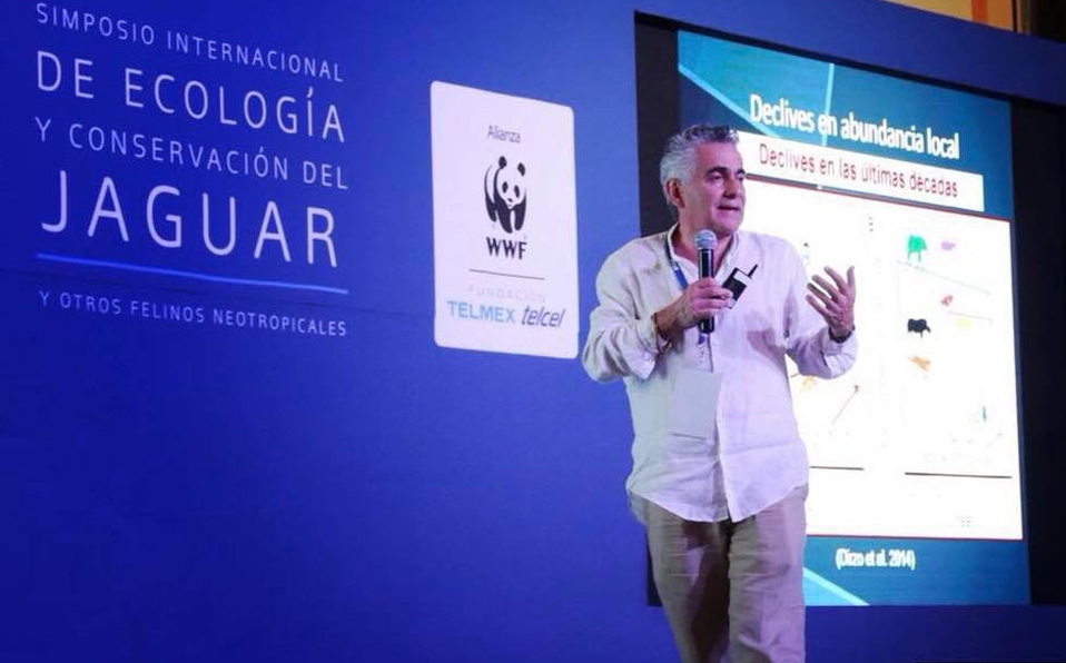 Foto: Cortesía Tren Maya, oportunidad para salvar hábitat del jaguar: ONG