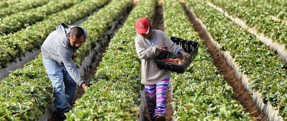 Actividad económica del país cae 0.74% en octubre