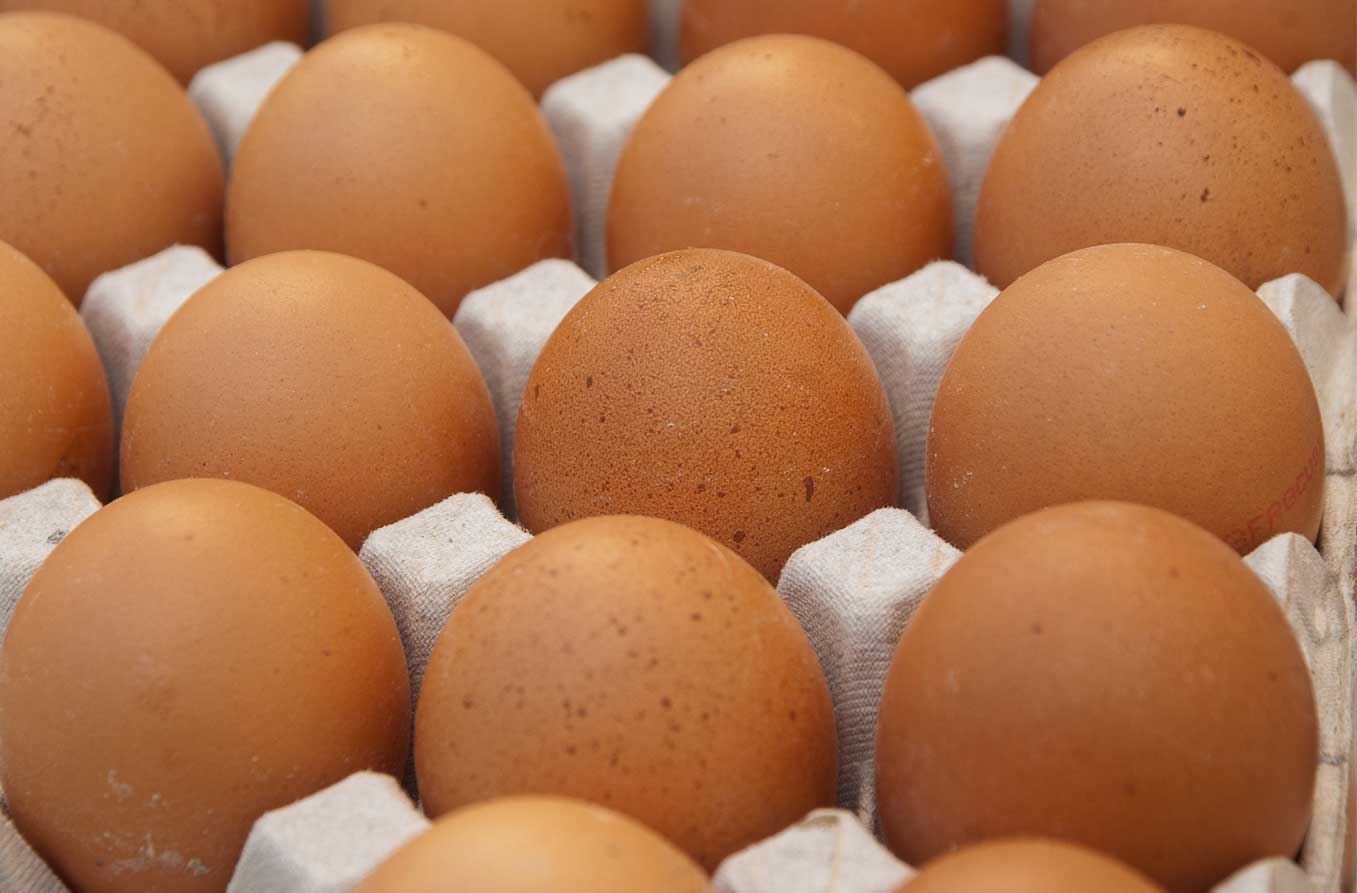 Precio del huevo sube 17% en el año; su mayor aumento en 7 años